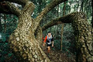 BIB: 
                            <button type="button" onclick="openModal(25393151)" class="btn btn-primary btn-sm float-right btn-popup" data-toggle="modal" data-target=".modal-high-quality">
                        <i class="fas fa-shopping-cart"></i> Add to Cart
                    </button>
                                            <button type="button" onclick="isThisMe(25393151, true)" class="btn btn-success btn-sm float-right btn-popup btn-isme hidden" data-toggle="tooltip" data-placement="bottom" title="นี่คือรูปของคุณใช่ไหม คลิกที่นี่เพื่อเอาเข้าอัลบั้ม">
                        <i class="fas fa-plus"></i> Add to album
                    </button>
                    <button type="button" onclick="isThisMe(25393151, false)" class="btn btn-warning btn-sm float-right btn-popup btn-isnotme hidden">
                        <i class="fas fa-ban"></i> Remove from album
                    </button>